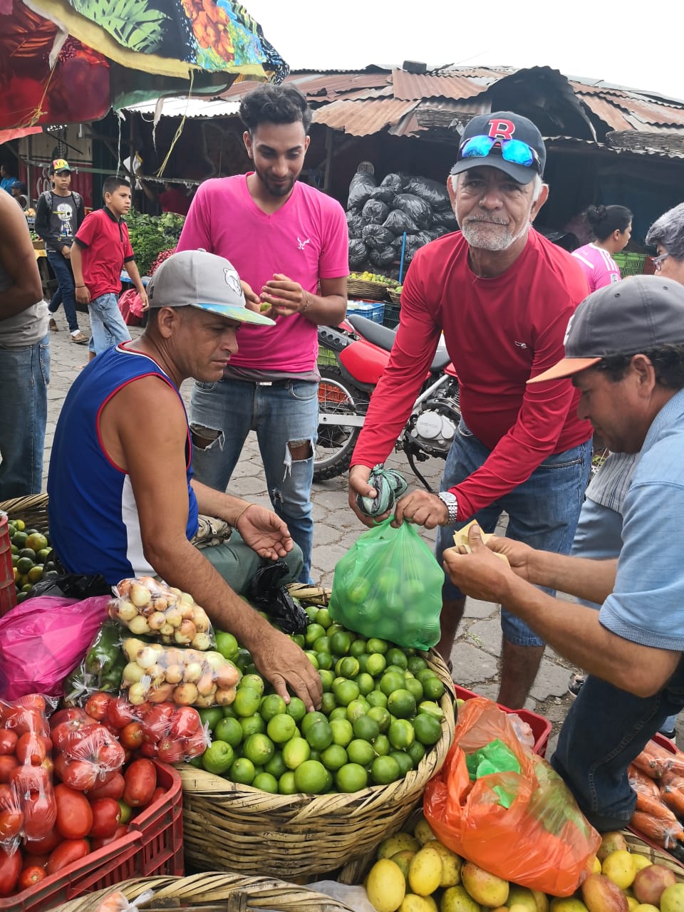 esteli